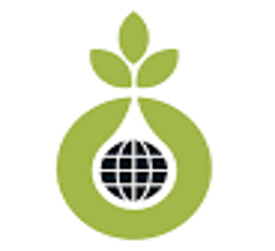 Logotipo de la Brazzaville Foundation